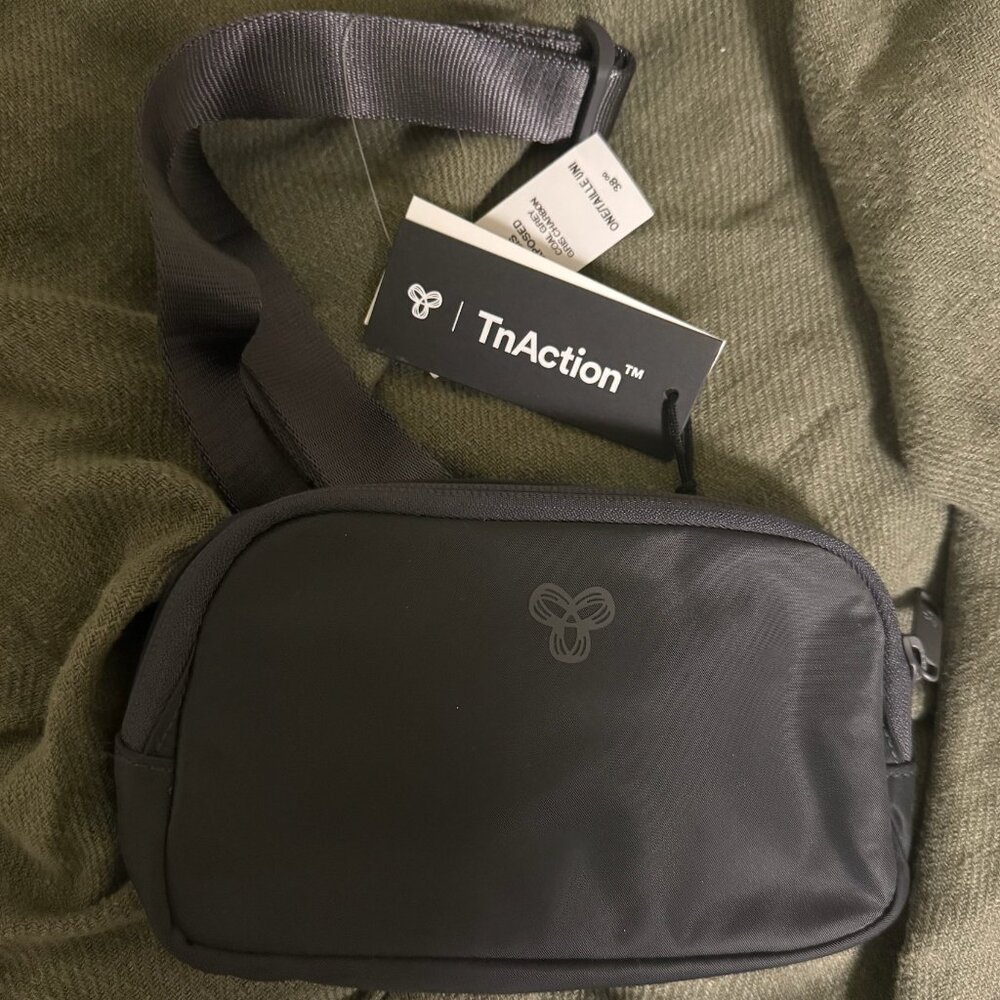 Aritzia tna belt bag